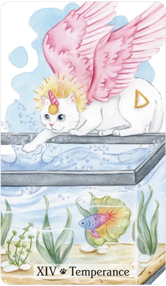 Caticorn Tarot